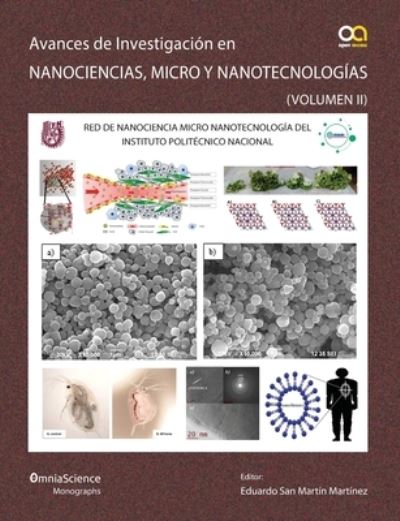 Cover for Eduardo San Martín Martínez · Avances en investigacion en Nanociencias, Micro y Nanotecnologias (Vol II) (Paperback Book) (2020)