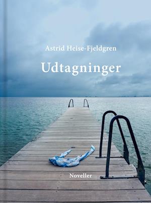 Cover for Astrid Heise-Fjeldgren · Udtagninger (Hardcover bog) [1. udgave] (2022)