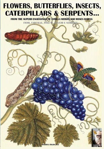 Cover for Luca Stefano Cristini · Flowers, Butterflies, Insects, Caterpillars &amp; Serpents... (Paperback Book) (2016)