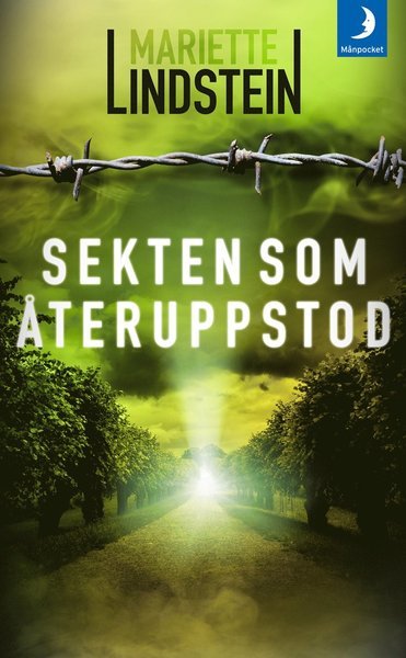 Cover for Mariette Lindstein · Dimön-serien: Sekten som återuppstod (Paperback Bog) (2017)