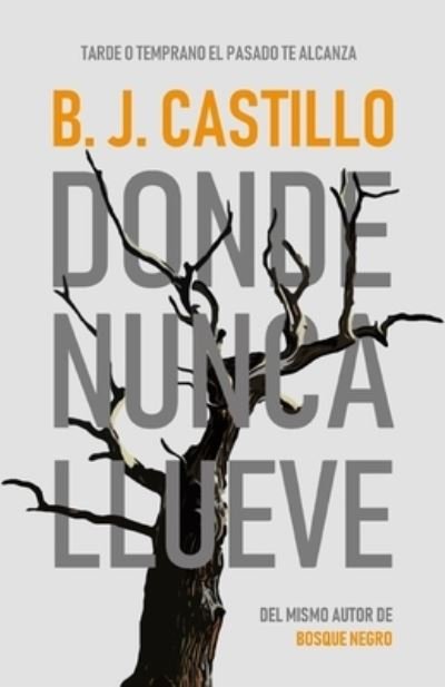 Cover for B J Castillo · Donde Nunca Llueve - Detectives de Oregon (Pocketbok) (2020)