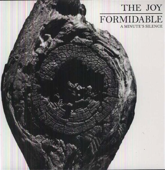 Cover for Joy Formidable · The Joy Formidable - RSD 2013 Release (12&quot;) [Reissue edition] (2013)