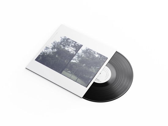 Cover for Okkyung Lee · Just Like Any Other Day (LP) (2025)
