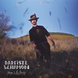 Cover for Baptiste W Hamon · Jusqu a La Lumiere (LP) (2022)