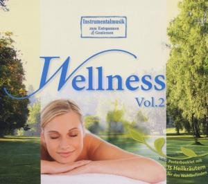 Cover for Wellness · Vol. 2-wellness (CD) (2012)