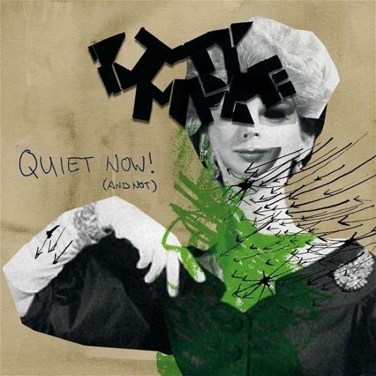 Quiet Now (or Not) - Kitty Empire - Muzyka - IN GUTE HAENDE - 4260016926848 - 22 kwietnia 2013