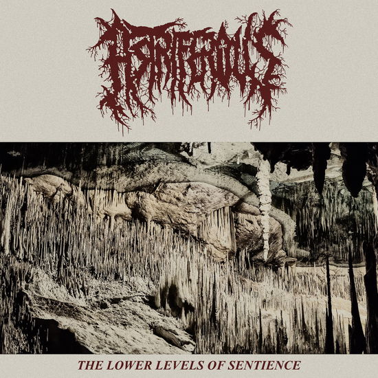 Cover for Astriferous · The Lower Levels of Sentience EP (LP) (2020)