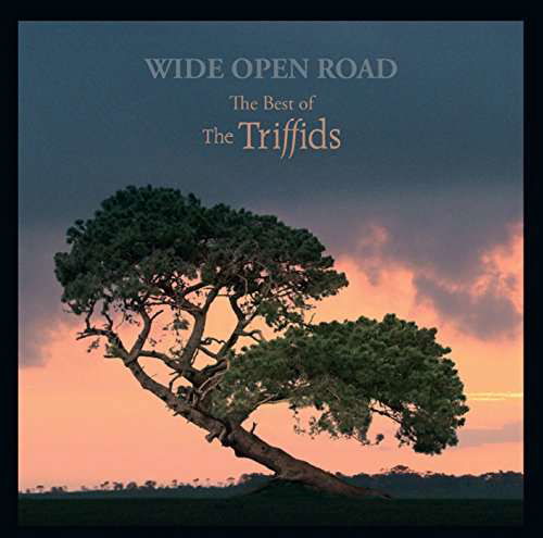 Triffids · Wide Open Road - The Best Of (CD) (2017)