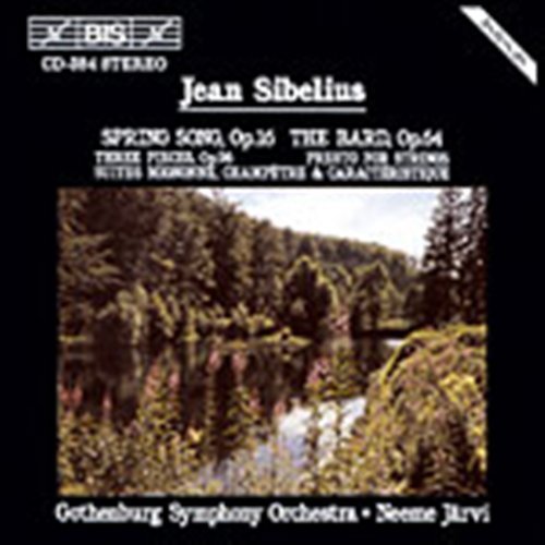 Cover for Jean Sibelius · Orchesterwerke (CD) (1996)