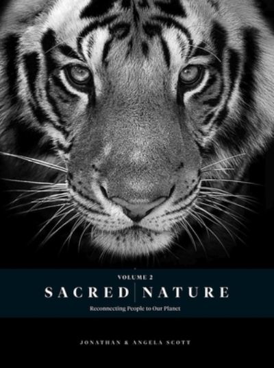 Sacred Nature 2 : Reconnecting People to Our Planet - Angela Scott - Books - HPH Publishing - 9780639831848 - November 19, 2021