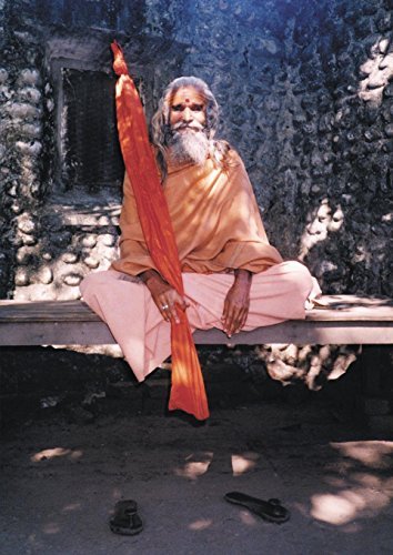 Cover for Paul Mason · Dandi Swami: the Story of the Guru's Will, Maharishi Mahesh Yogi, the Shankaracharyas of Jyotir Math, &amp; Meetings with Dandi Swami N (Taschenbuch) (2014)