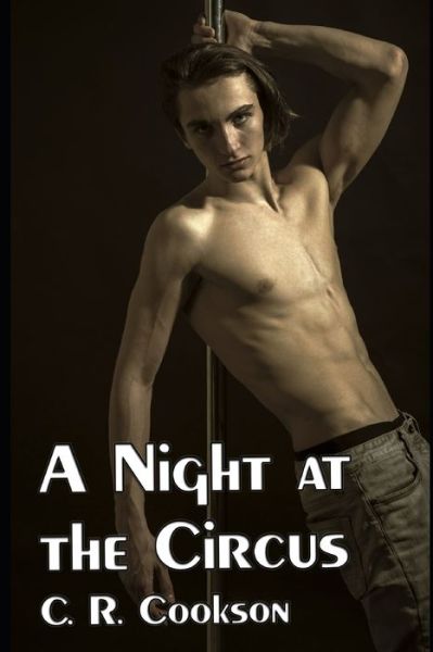 Cover for C R Cookson · A Night at the Circus (Pocketbok) (2019)