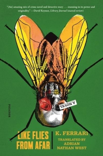 Cover for K. Ferrari · Like Flies from Afar: A Novel (Taschenbuch) (2021)