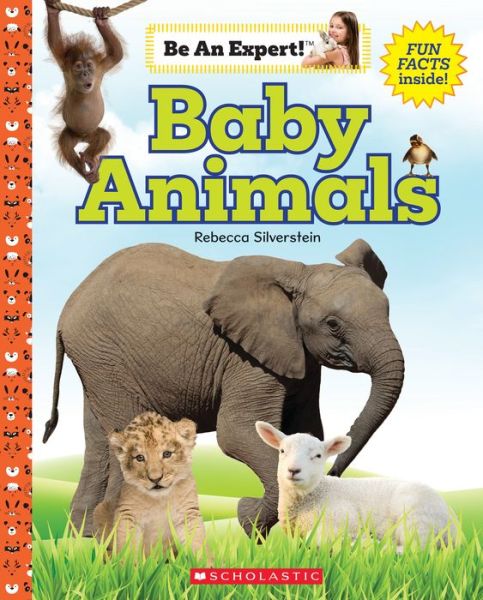 Cover for Rebecca Silverstein · Baby Animals - Be an Expert! (Hardcover Book) (2022)