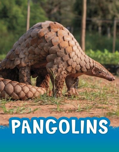 Cover for Jaclyn Jaycox · Pangolins - Animals (Hardcover bog) (2022)