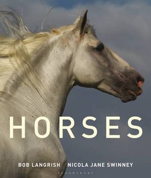 Cover for Nicola Jane Swinney · Horses (Gebundenes Buch) (2015)