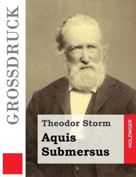 Cover for Theodor Storm · Aquis Submersus (Paperback Book) [German, Lrg edition] (2013)