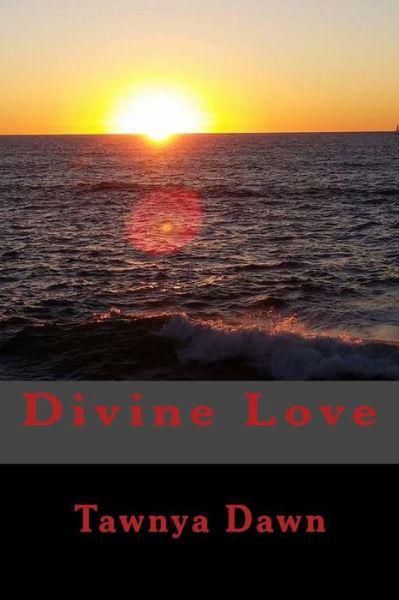 Cover for Tawnya Dawn · Divine Love (Pocketbok) (2015)