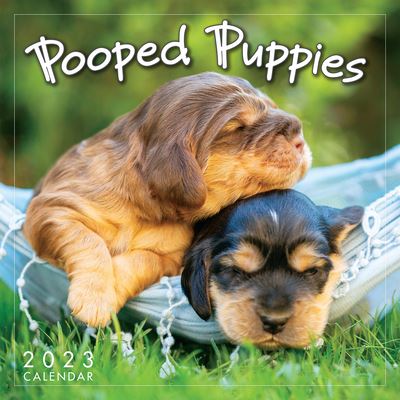 Cover for Sellers Publishing · Pooped Puppies - Mini 12 Month (Paperback Book) (2022)