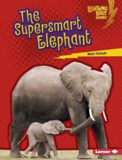 Cover for Mari C. Schuh · Supersmart Elephant (Book) (2018)