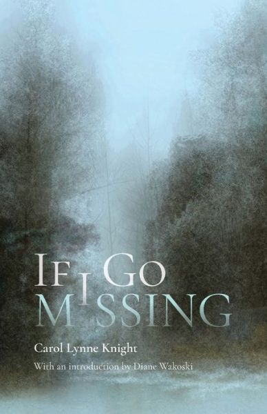 Cover for Carol Lynne Knight · If I Go Missing (Paperback Book) (2022)