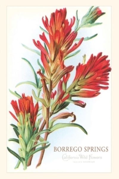 Cover for Found Image Press · Vintage Journal Borrego Springs, Wildflowers (Book) (2022)