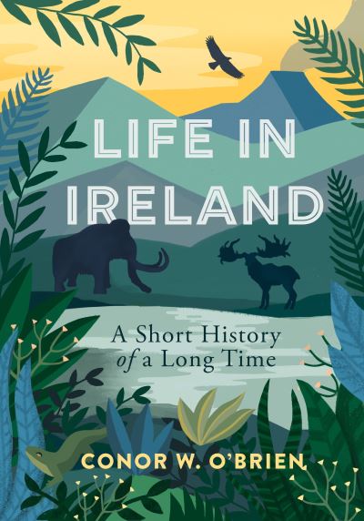 Life in Ireland: A Short History of a Long Time - Conor O'Brien - Książki - Merrion Press - 9781785373848 - 19 kwietnia 2021