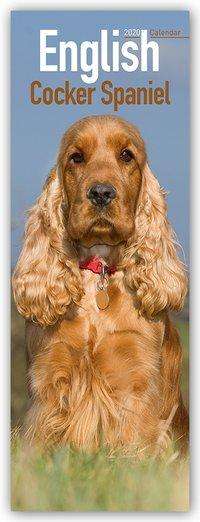 Kal. English Cocker Spaniel 2020 - Avonside Publishing Ltd - Books - Avonside Publishing Ltd - 9781785807848 - July 1, 2019