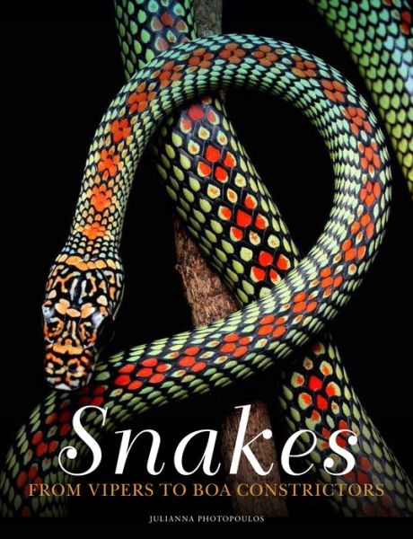 Cover for Julianna Photopoulos · Snakes: From Vipers to Boa Constrictors - Animals in Photographs (Inbunden Bok) (2023)