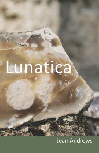 Cover for Jean Andrews · Lunatica (Pocketbok) (2013)