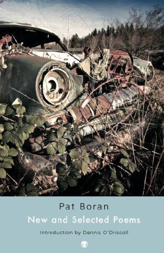 New and Selected Poems - Pat Boran - Kirjat - Dedalus Press - 9781904556848 - maanantai 1. lokakuuta 2007