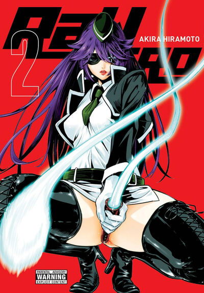 Cover for Akira Hiramoto · RaW Hero, Vol. 2 (Paperback Book) (2020)