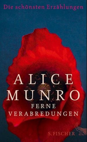 Cover for Munro · Ferne Verabredungen (Book)
