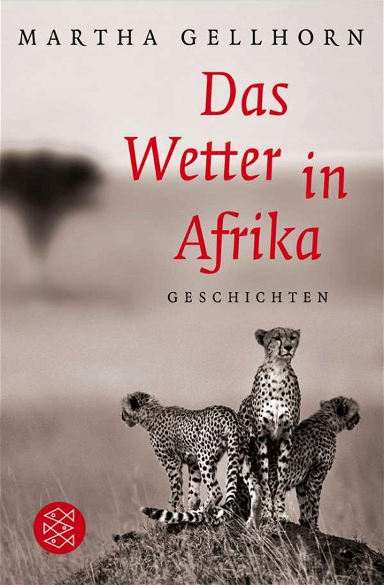 Cover for Martha Gellhorn · Fischer TB.17984 Gellhorn.Wetter in Afr (Buch)