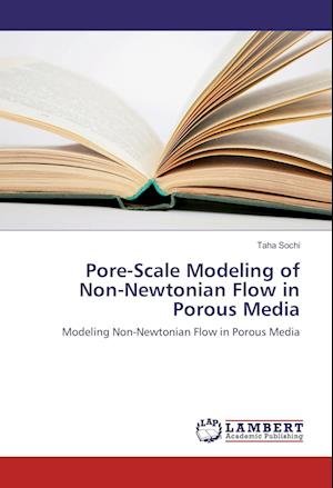 Cover for Sochi · Pore-Scale Modeling of Non-Newton (Book)