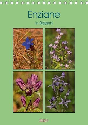 Cover for Erlwein · Enziane in Bayern (Tischkalende (Book)