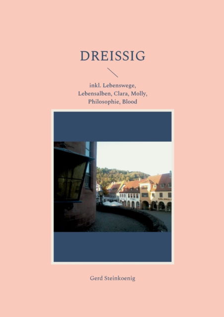 Cover for Gerd Steinkoenig · Dreissig: inkl. Lebenswege, Lebensalben, Clara, Molly, Philosophie, Blood (Paperback Book) (2022)