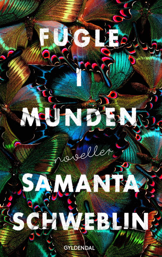 Cover for Samanta Schweblin · Fugle i munden (Bound Book) [1.º edición] (2019)