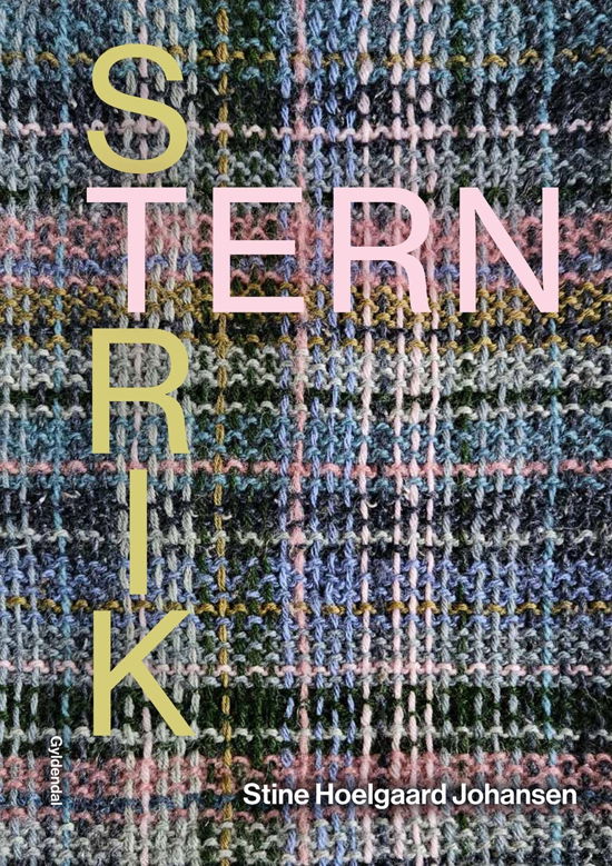 Cover for Stine Hoelgaard Johansen · Strik tern (Gebundesens Buch) [1. Ausgabe] (2024)