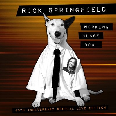 Working Class Dog - 40th Anniversary Special Live Edition - Rick Springfield - Filmes - ROCK/POP - 0195729439849 - 17 de junho de 2022