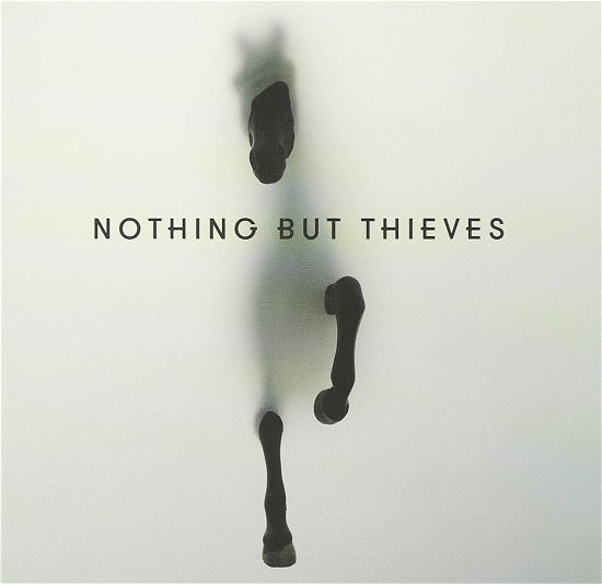 Nothing but Thieves - Nothing But Thieves - Musik - 1SMJI - 4547366253849 - 6. januar 2016