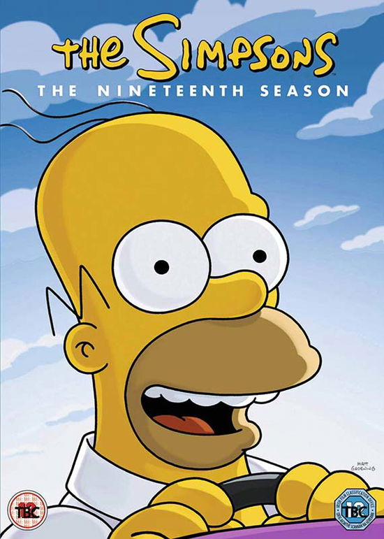 Simpsons Season 19 - Movie - Film - TWENTIETH CENTURY FOX - 5039036094849 - 2. december 2019