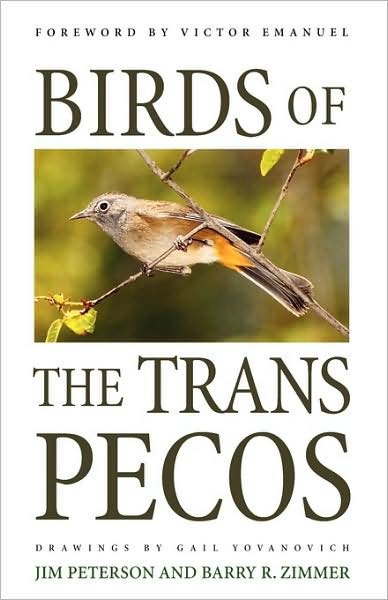 Birds of the Trans-Pecos - Jim Peterson - Kirjat - University of Texas Press - 9780292765849 - tiistai 1. joulukuuta 1998