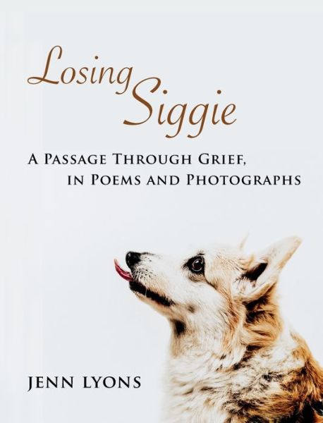 Cover for Lyons Jenn · Losing Siggie (Hardcover Book) (2020)