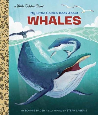 Cover for Bonnie Bader · My Little Golden Book About Whales (Gebundenes Buch) (2024)