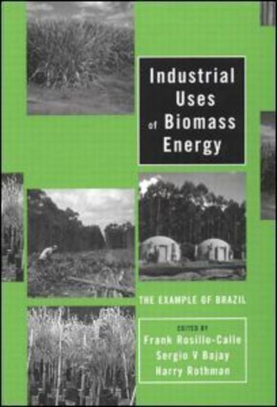 Cover for Frank Rosillo-calle · Industrial Uses of Biomass Energy: The Example of Brazil (Gebundenes Buch) (2000)