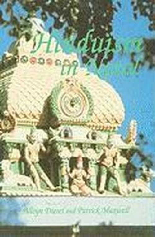 Cover for Alleyn Diesel · Hinduism in Natal: A Brief Guide (Paperback Book) (2001)