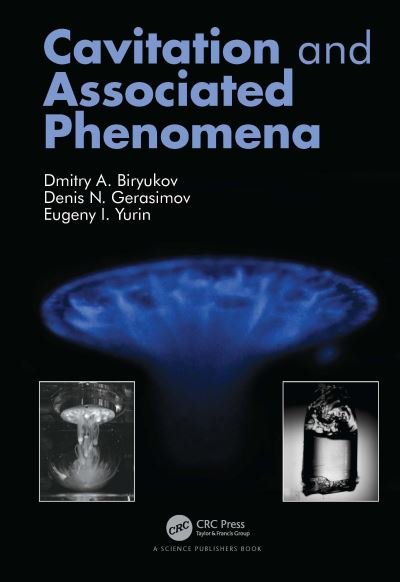 Dmitry Biryukov · Cavitation and Associated Phenomena (Paperback Book) (2024)