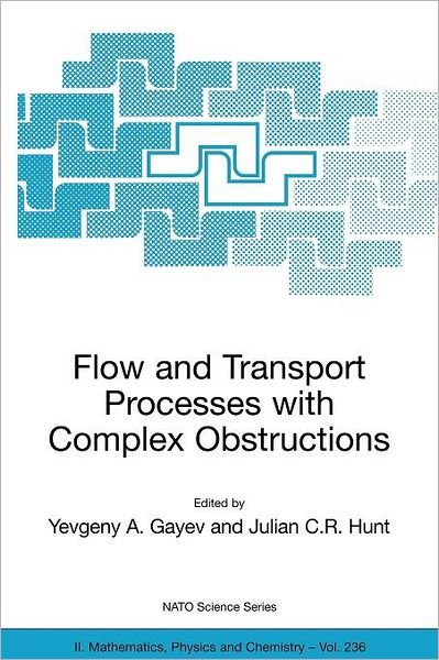 Cover for Yevgeny a Gayev · Flow and Transport Processes with Complex Obstructions: Applications to Cities, Vegetative Canopies and Industry - NATO Science Series II (Taschenbuch) [2007 edition] (2006)