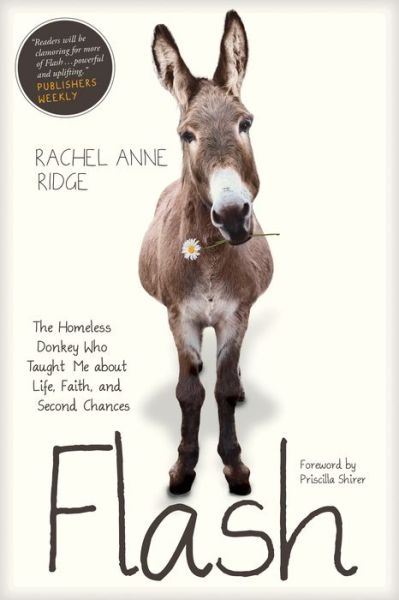 Cover for Rachel Anne Ridge · Flash (Paperback Book) (2016)